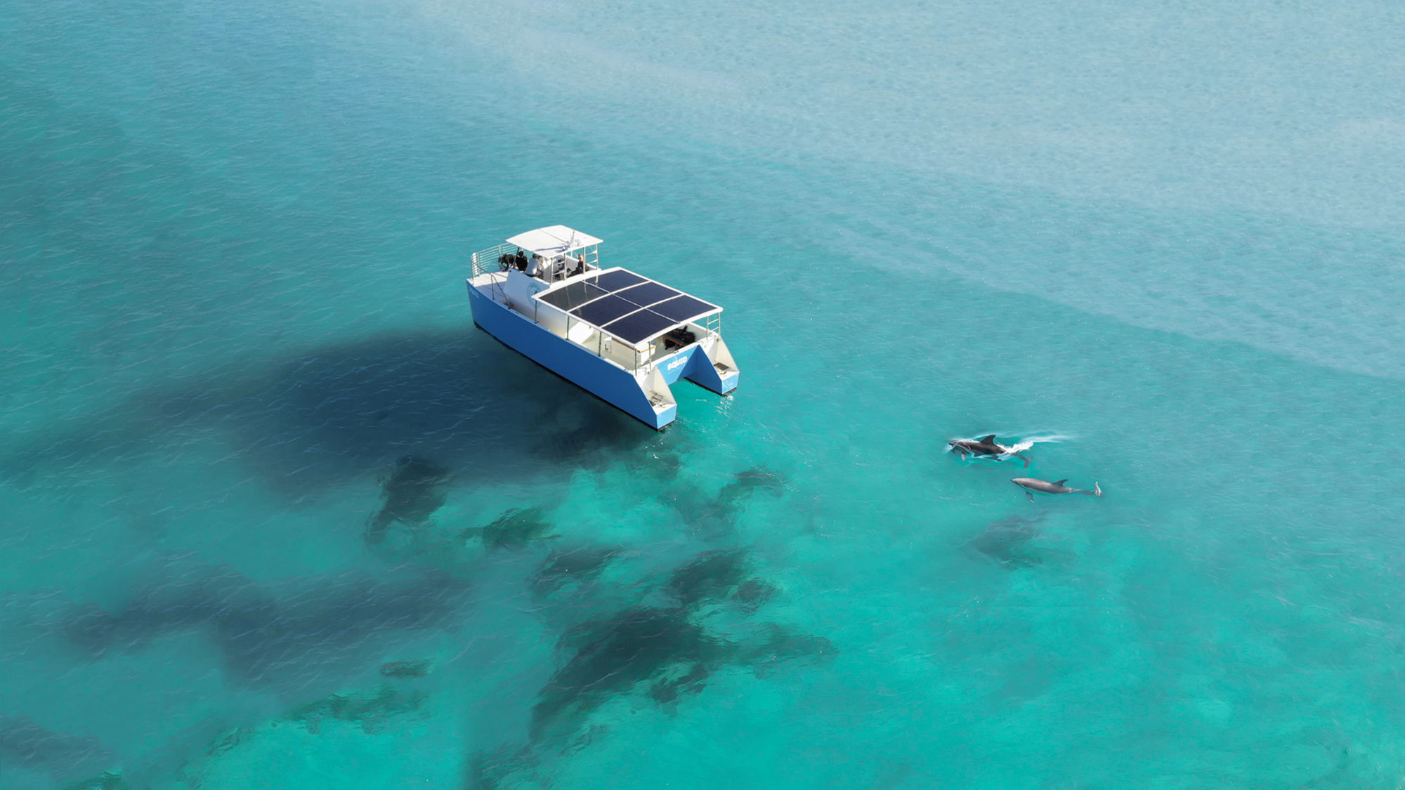 Honest Eco's new electric tour boat now leads four-hour dolphin and snorkeling tours.