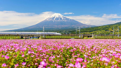Railbookers adds Japan itineraries