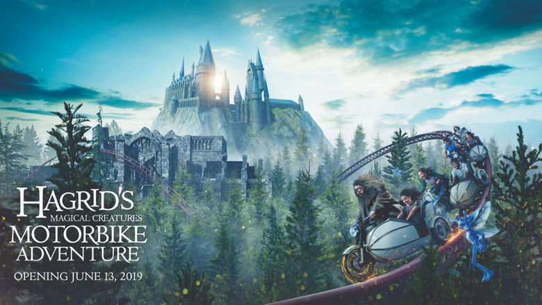 Universal plants forest to go with Harry Potter roller coaster