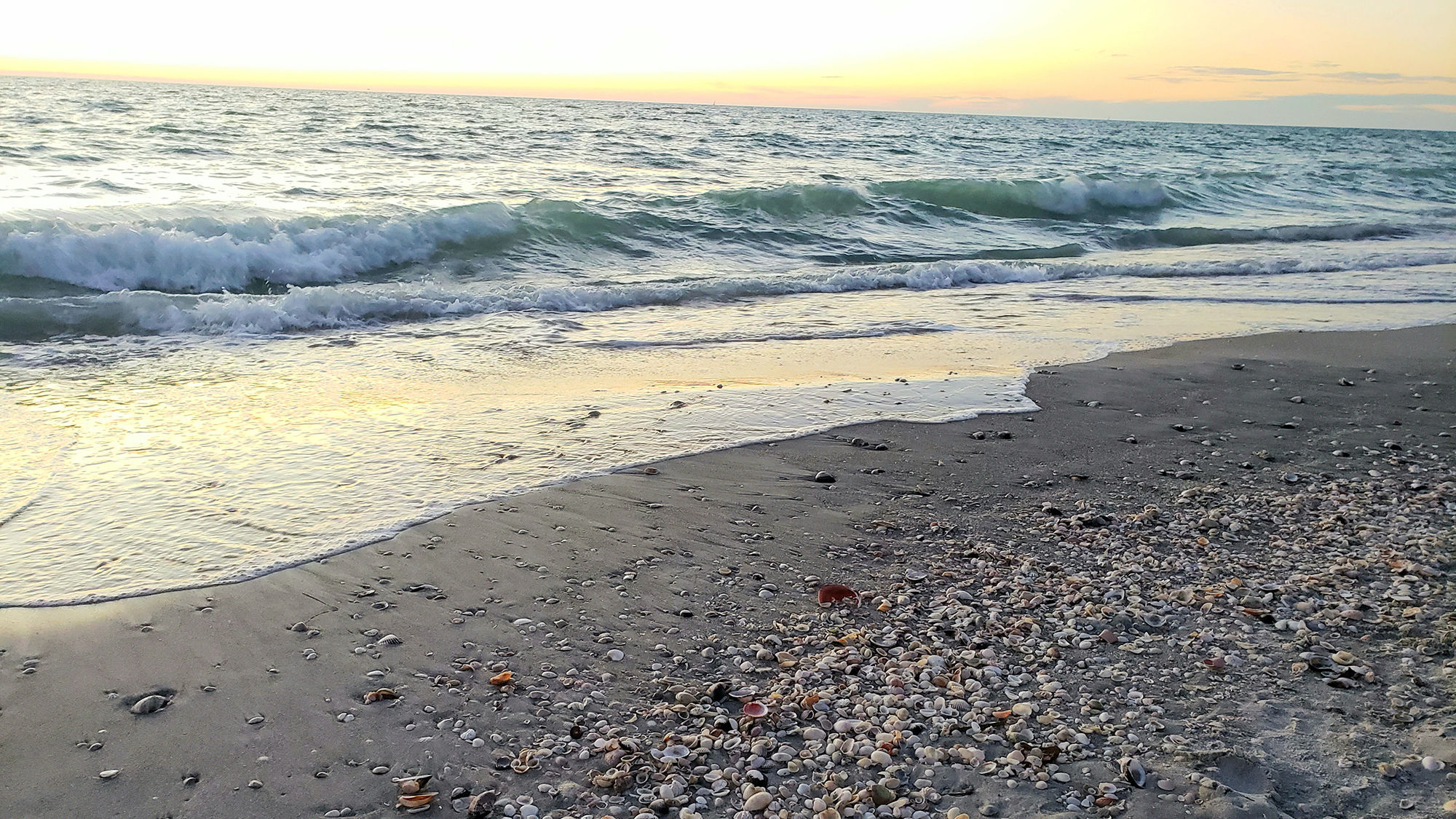 A shell-strewn strand of beach on Captiva Island.