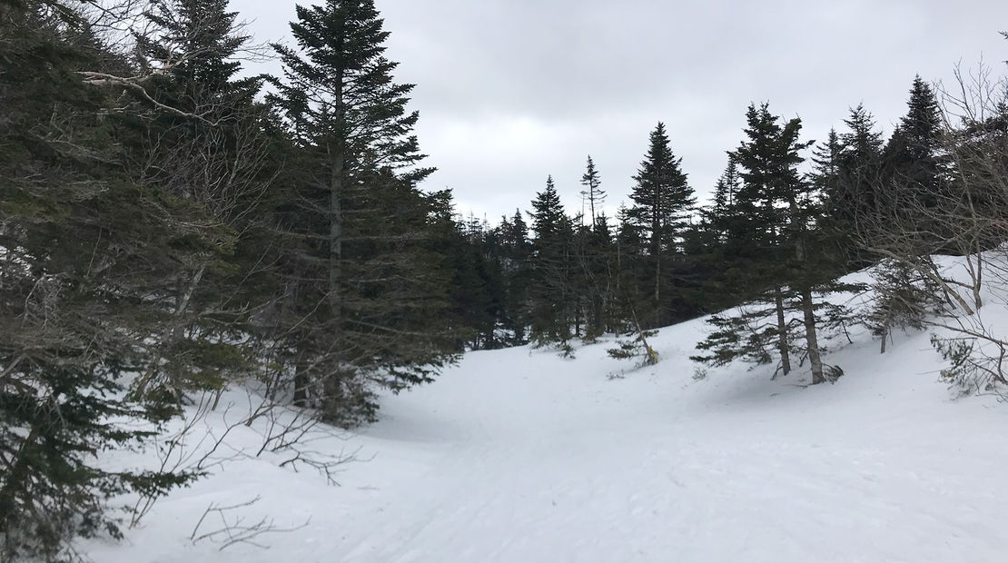 A break in the trees is the only indication of an (off-limits) path that leads between two separate East Coast ski areas.