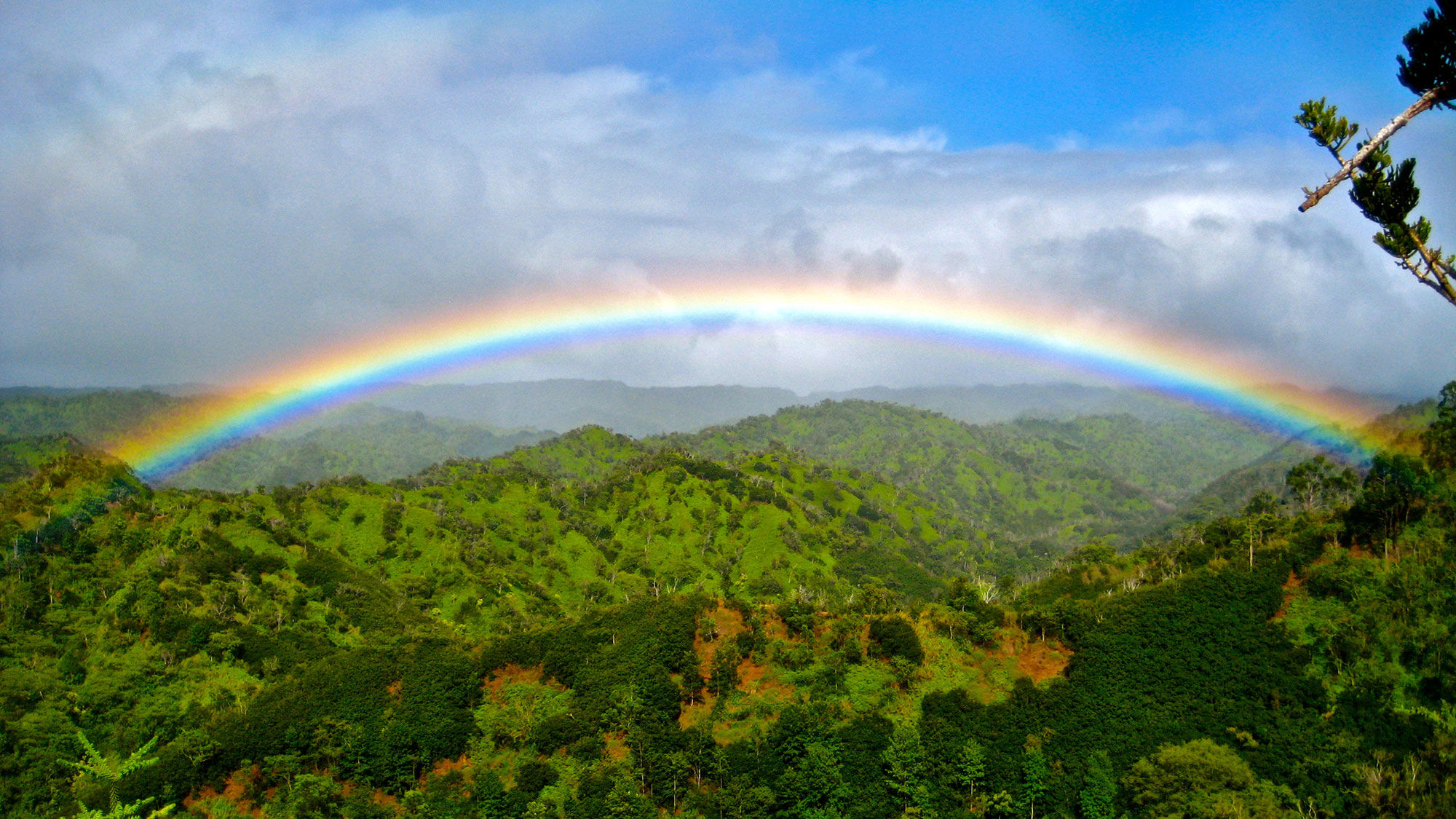 The new Thrillist package at Alohilani Resort Waikiki Beach includes a hike on private conservation land.