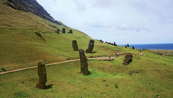 The vast majority of Easter Island's moai were carved out of the cliffs of Terevaka.