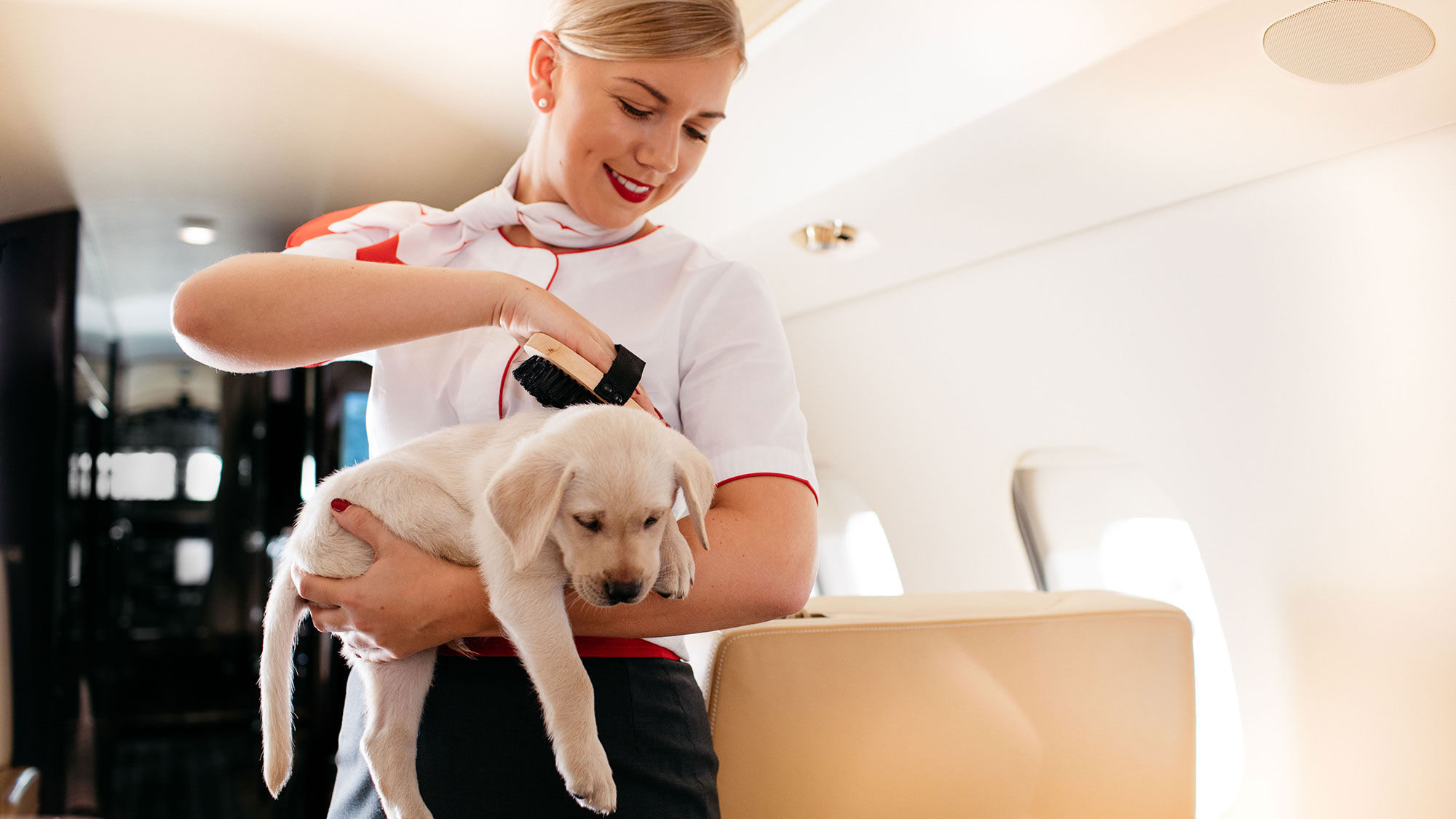 The VistaPet program is designed to make air traveler less stressful for four-legged passengers.