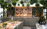 The Terrace restaurant also features the Outdoor Gardens dining and bar area, decorated with greenery and a variety of plants.