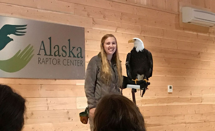 New options for experiencing Alaska's rainforests and raptors: Travel ...