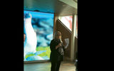 Celebrity Cruises president Lisa Lufoff-Perlo, speaking before a shipyard tour of the Celebrity Flora, with a video wall in the ship's Discovery Lounge in the background.