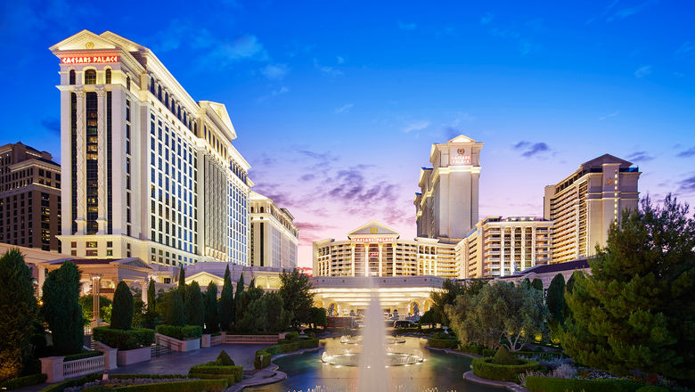Caesars Palace Las Vegas is importing the Cove Beach experience from its sister property in Dubai for a summer takeover of the Venus Pool and Lounge.