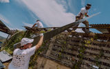 About 200 volunteers from Tourism Cares traveled to Puerto Rico to work on projects at a social enterprise that helps small farmers recover the aftereffects of Hurricane Maria. The site has become a tourist attraction in post-Maria Puerto Rico.