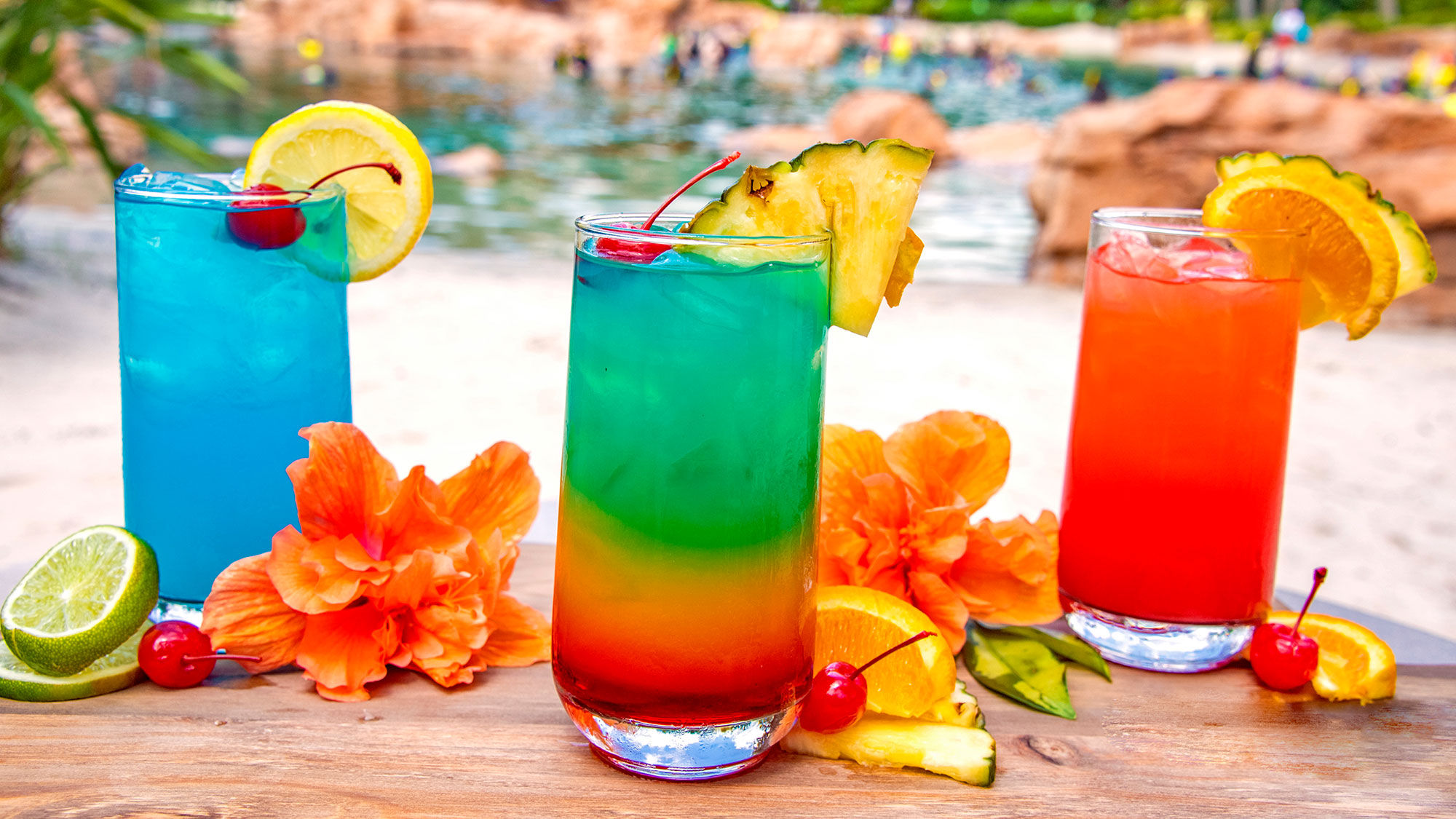 Three of the four new signature cocktails that are part of the premium beverage package upgrade at Discovery Cove.