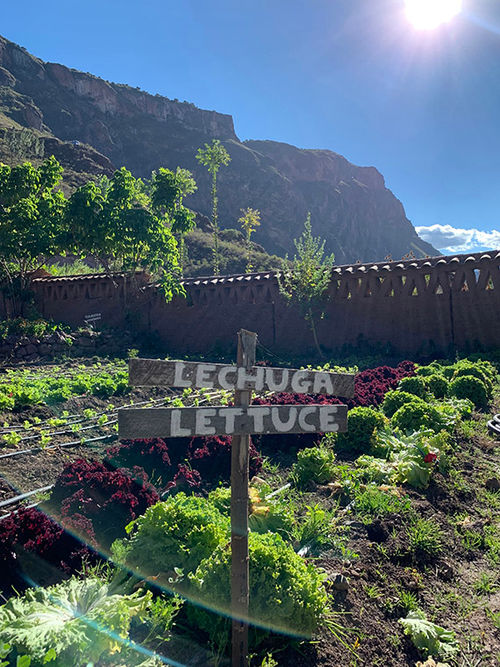 The organic garden at Parwa restaurant in the Sacred Valley, one of the most succesful community development projects funded by G Adventures’ Planeterra Foundation. The organic garden at Parwa restaurant in the Sacred Valley, one of the most succesful community development projects funded by G Adventures’ Planeterra Foundation.