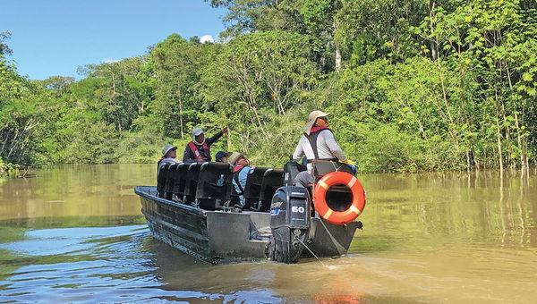 The Aria Amazon’s guides pointed out a wealth of wildlife, including herons, sloths, monkeys and pink dolphins, during excursions on motorized skiffs.