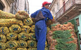 Food trucks deliver farm produce on Havana's side streets.