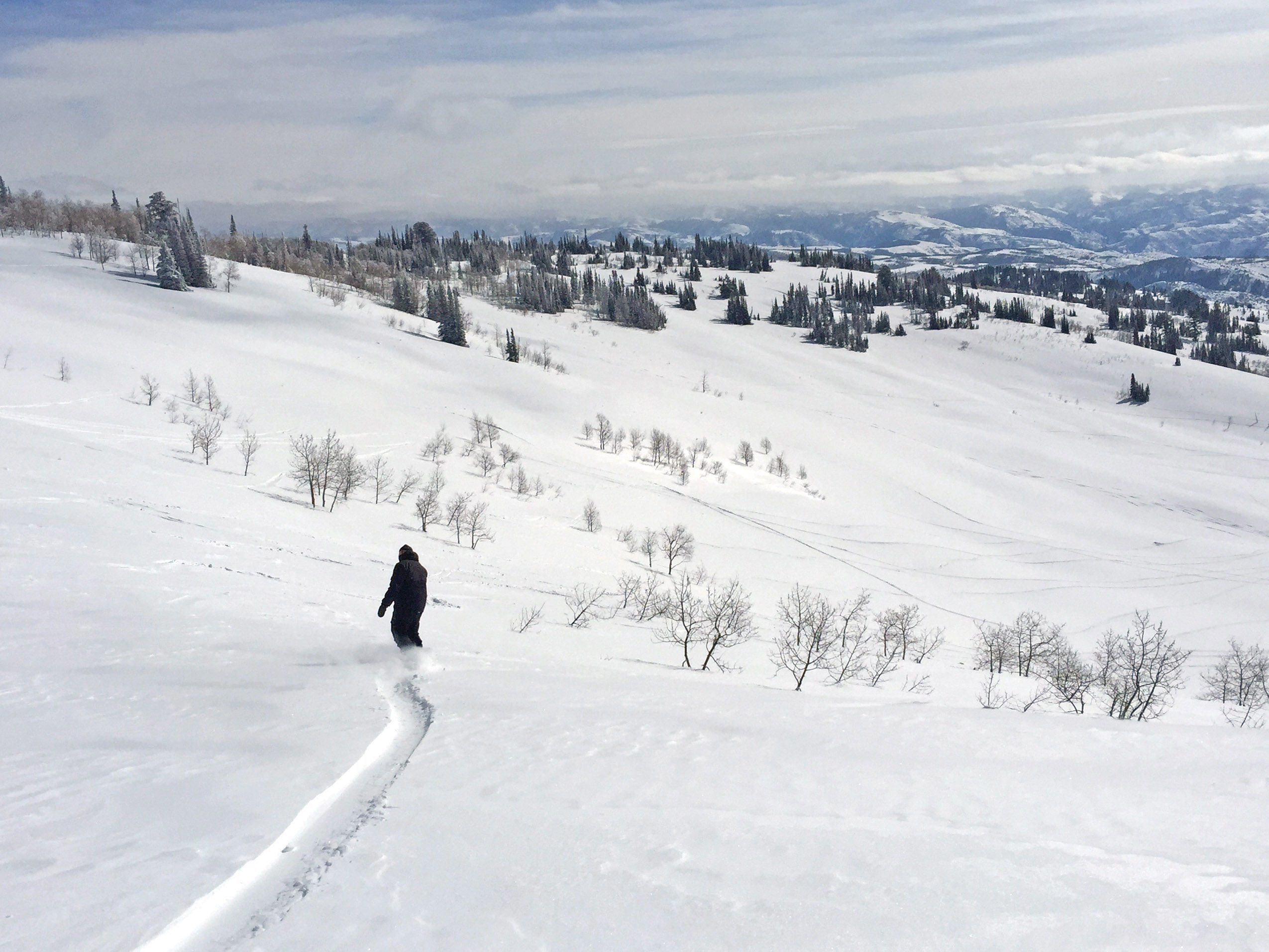 Virgin powder and short lift lines beckon at Powder Mountain ski area.