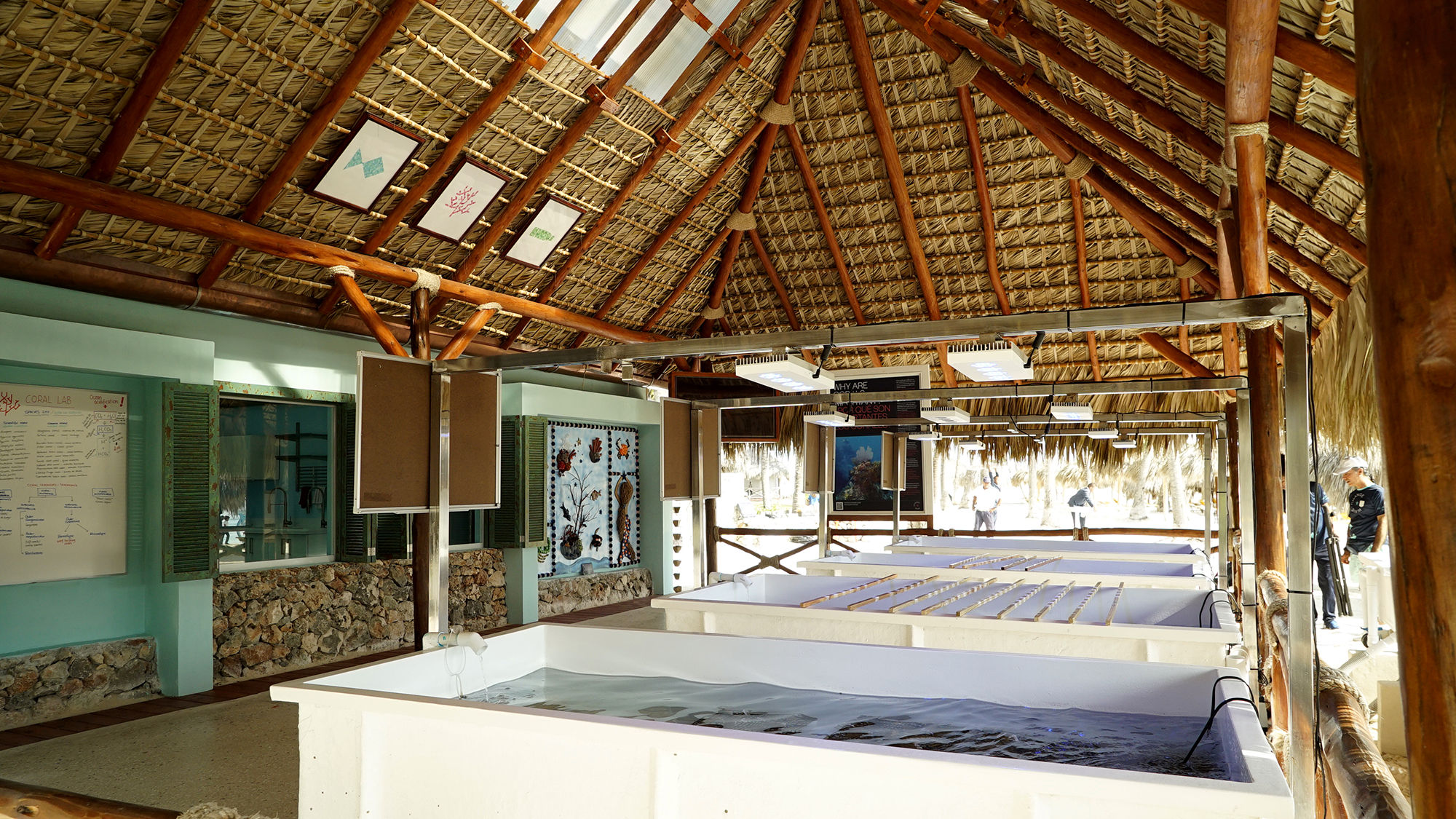 A lab to study the effects of climate change on coral reefs has opened at the Iberostar Bavaro complex near Punta Cana.