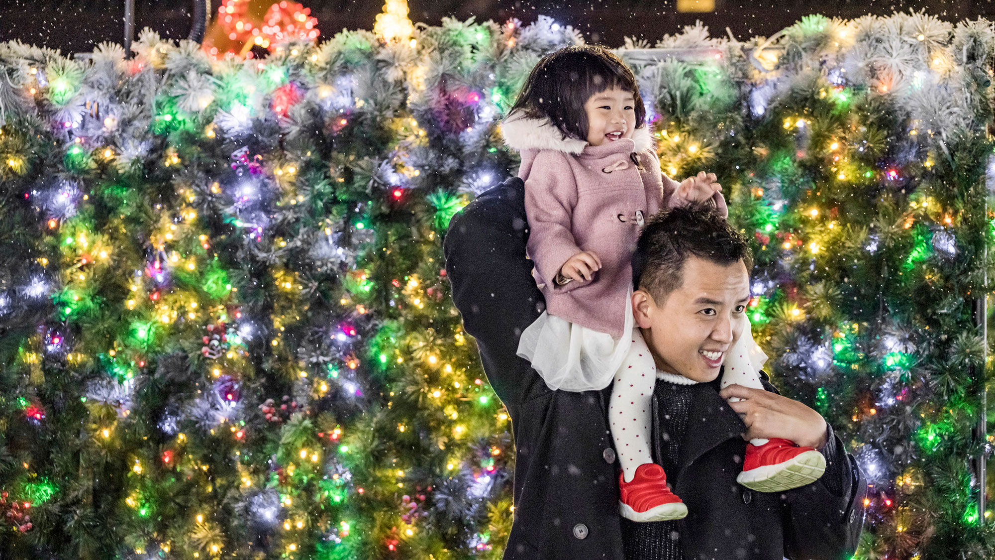 A hedge maze decked out in twinkling lights will be one of the big draws at the Enchant Christmas event.