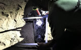 Measurements of the captured animals head are taken. In all, 22 data points are gathered before the animal is released.