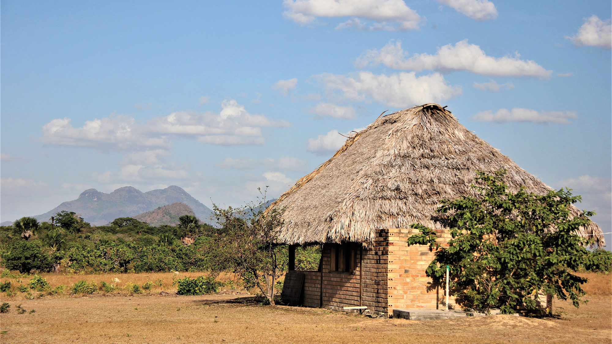 You say you want authentic? Guyana and the Solomon Islands deliver