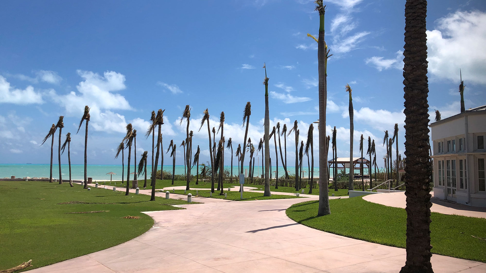 Hurricane Dorian stripped palm trees at the Grand Lucayan resort on Grand Bahama.