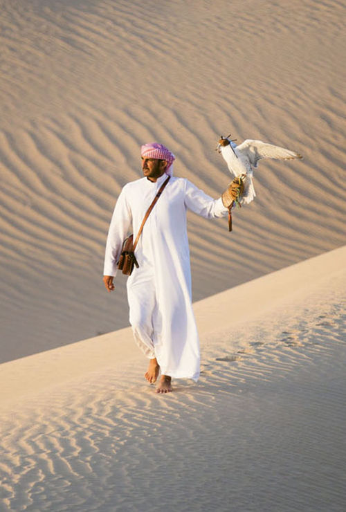 The resort, a 50-minute drive from Abu Dhabi, offers falconry demonstrations and other traditional desert experiences. The resort, a 50-minute drive from Abu Dhabi, offers falconry demonstrations and other traditional desert experiences.