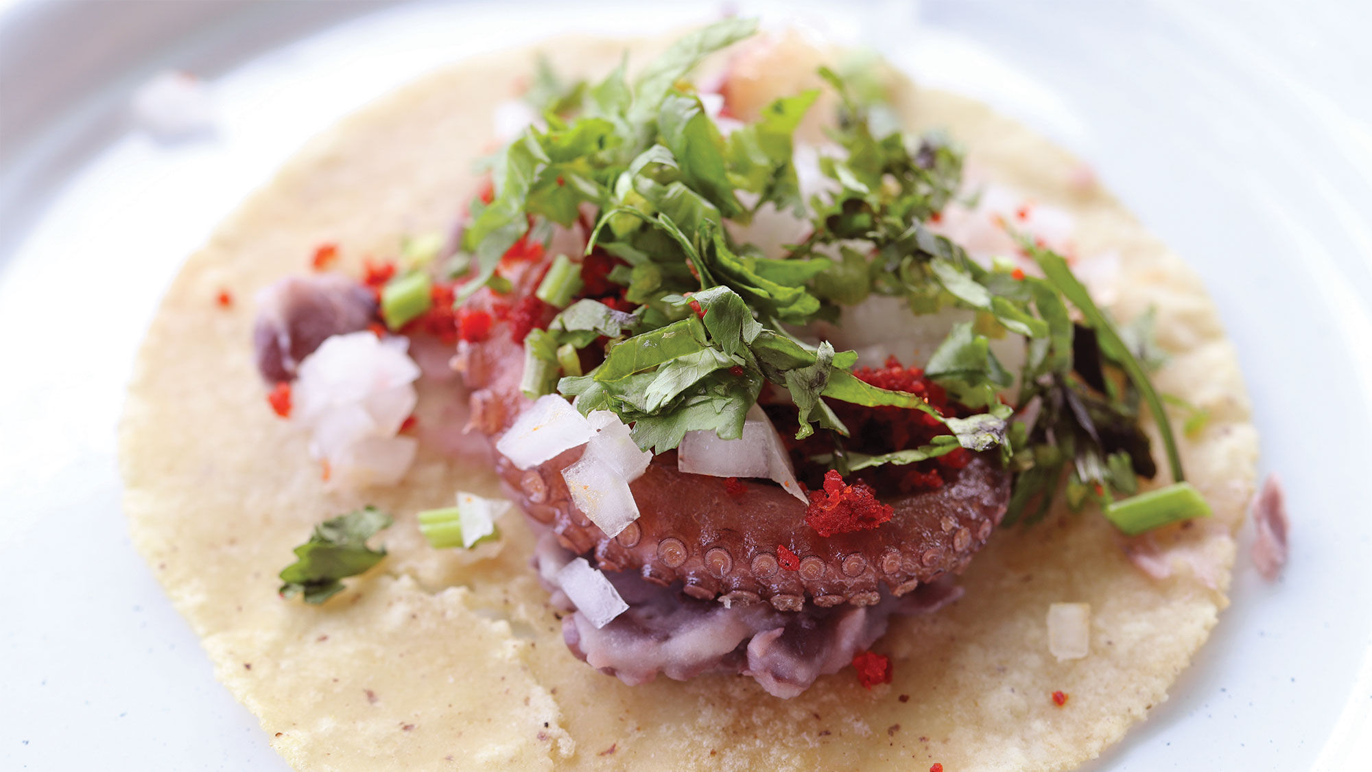 Taking a deeper dive into Puerto Vallarta's dining scene