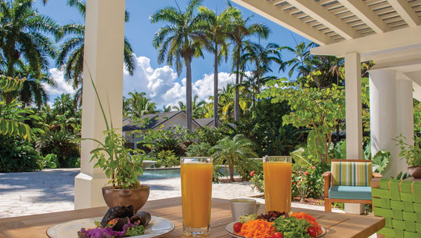 Ital, the resort’s vegan restaurant, opened earlier this year at the Fern Tree Spa. Ital, the resort’s vegan restaurant, opened earlier this year at the Fern Tree Spa.