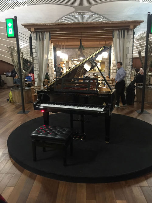 A self-playing grand piano greets patrons as they enter the lounge. A self-playing grand piano greets patrons as they enter the lounge.