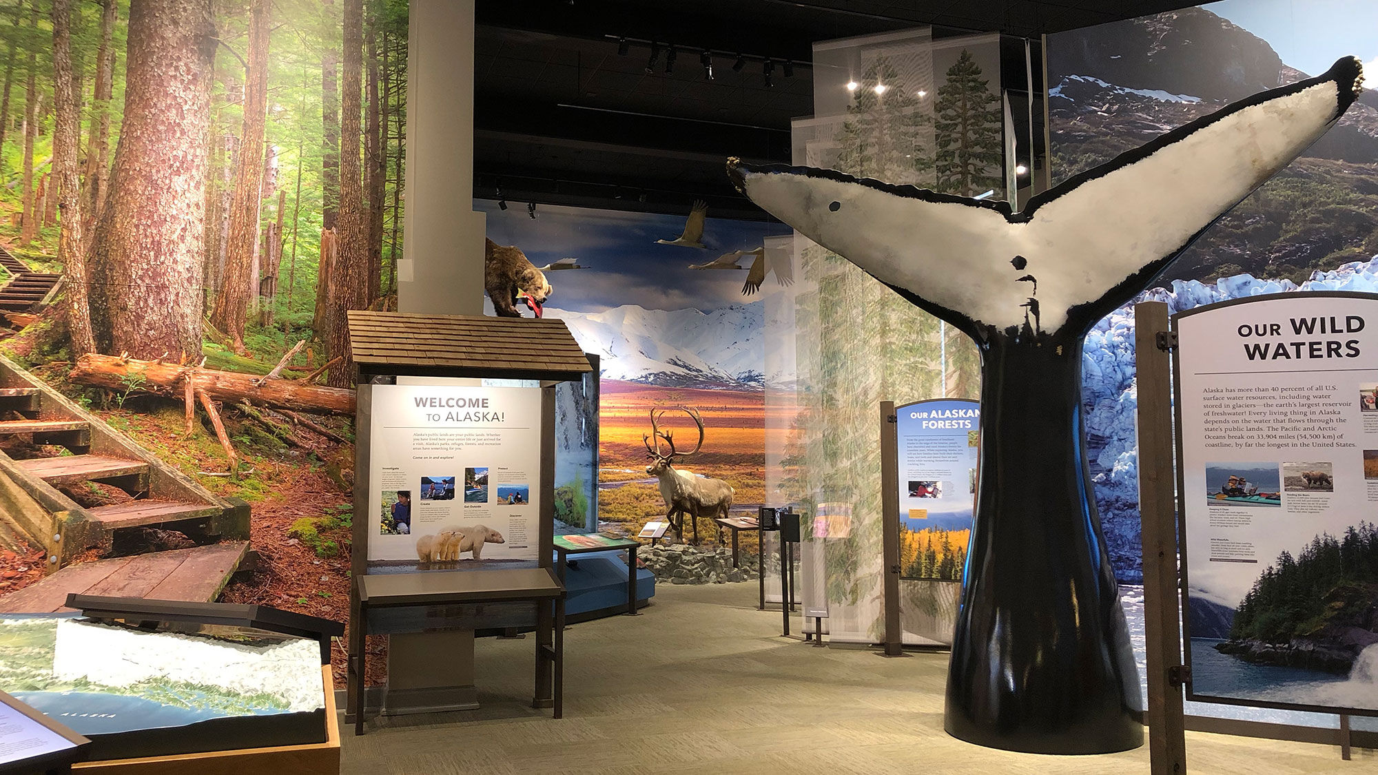 The updated entrance to the Alaska Public Lands Information Center in Anchorage, which reopens next month,