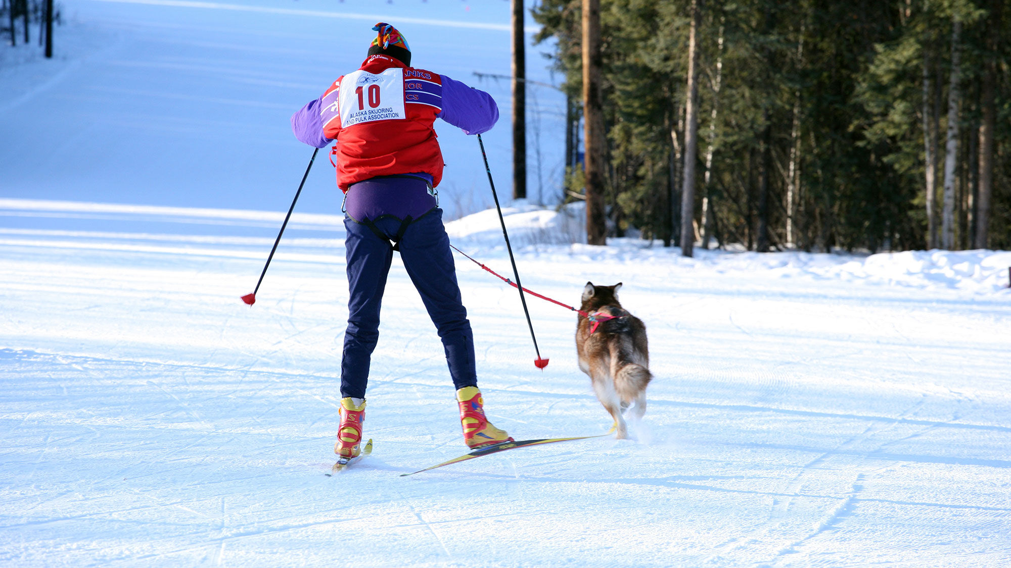 The 2019-20 Fairbanks Winter Guide highlights some of the region's most popular activities and includes a calendar section.