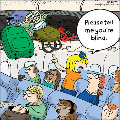 Flying the funny skies with flight attendant's comic strip