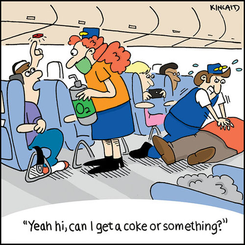 Flying the funny skies with flight attendant's comic strip