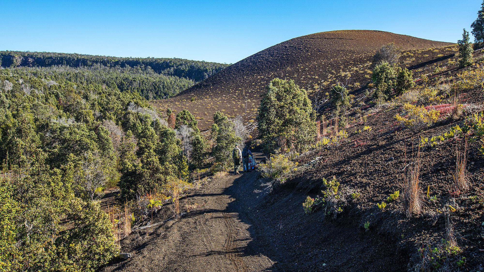As recovery work from the summer 2018 Kilauea eruptions and earthquakes continues, Hawaii Volcanoes National Park reopened two trails in November.