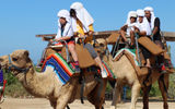 Cabo Adventures guests return from their Outback and Camel Safari Experience, which includes a short camel ride along the beach, a nature walk, lunch and tequila and mezcal tasting.