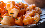 Habanero peppers at Huerta Los Tamarindos, a former sugar mill turned garden, restaurant and cooking school.