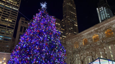 The Bank of America Winter Village at Bryant Park in New York features dozens of holiday shops and eateries, all in the glow of a 55-foot tree.