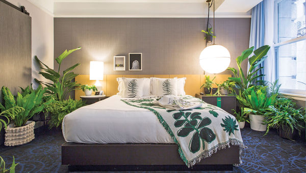 The Fern Room at the Kimpton Gray in Chicago was available as part of Orbitz’s Plant Hotel pop-up in October. The Fern Room at the Kimpton Gray in Chicago was available as part of Orbitz’s Plant Hotel pop-up in October.
