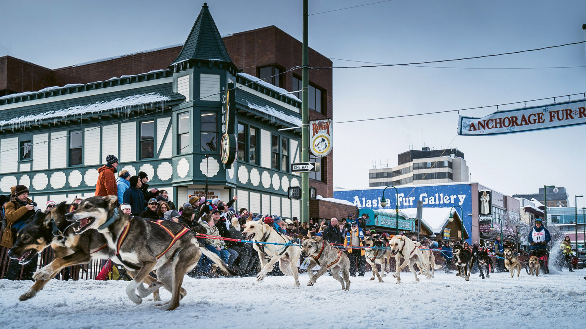 Four-legged competitors take part in the Fur Rendezvous Open World Championships in Anchorage.