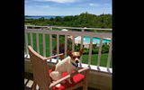 At Maine's Inn by the Sea, dogs of all sizes are welcome with offerings such as doggie massage, doggie cocktail hour and dog sitting and walking services available. The property encourages adoption by having rescue dogs onsite that guests can take on walks.