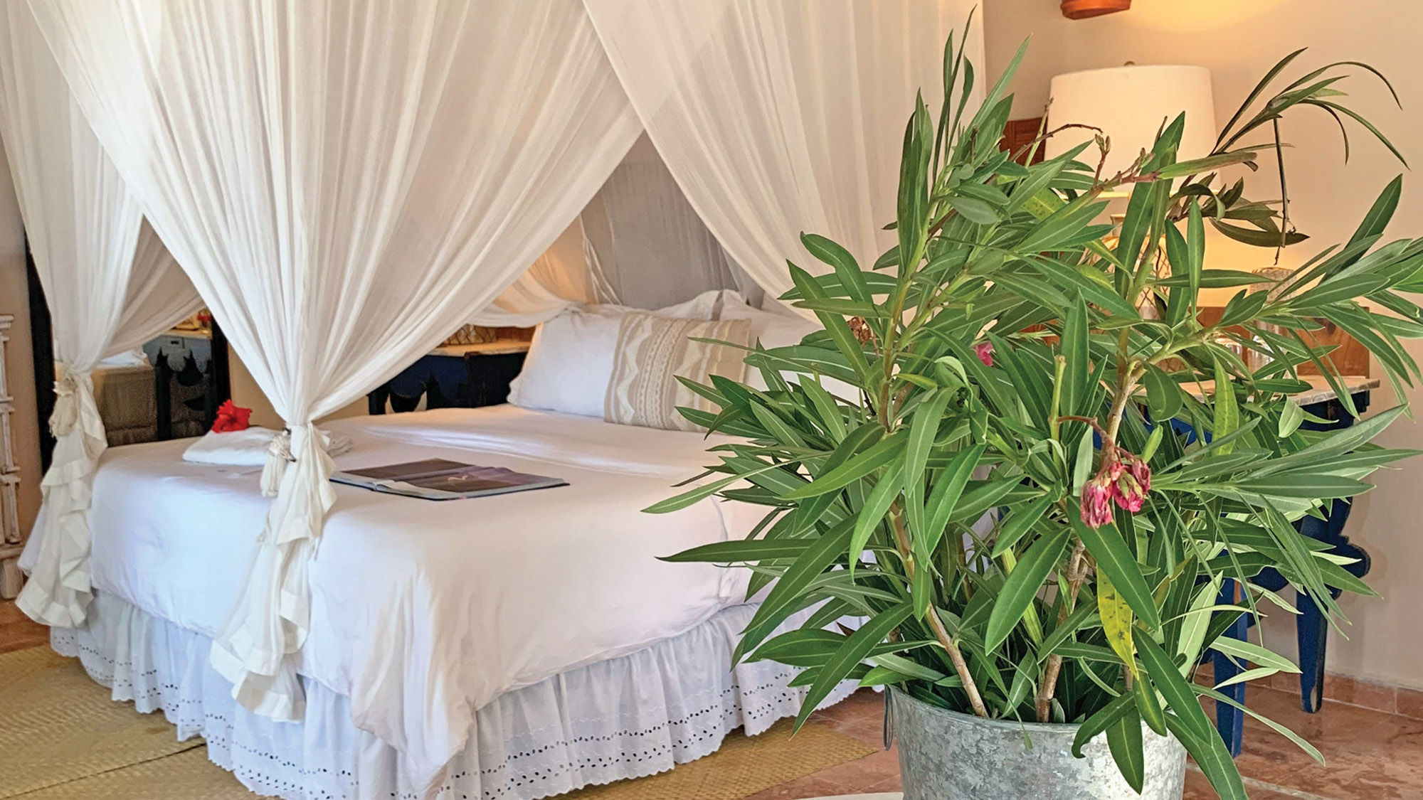A room at Ser Casasandra on Isla Holbox.