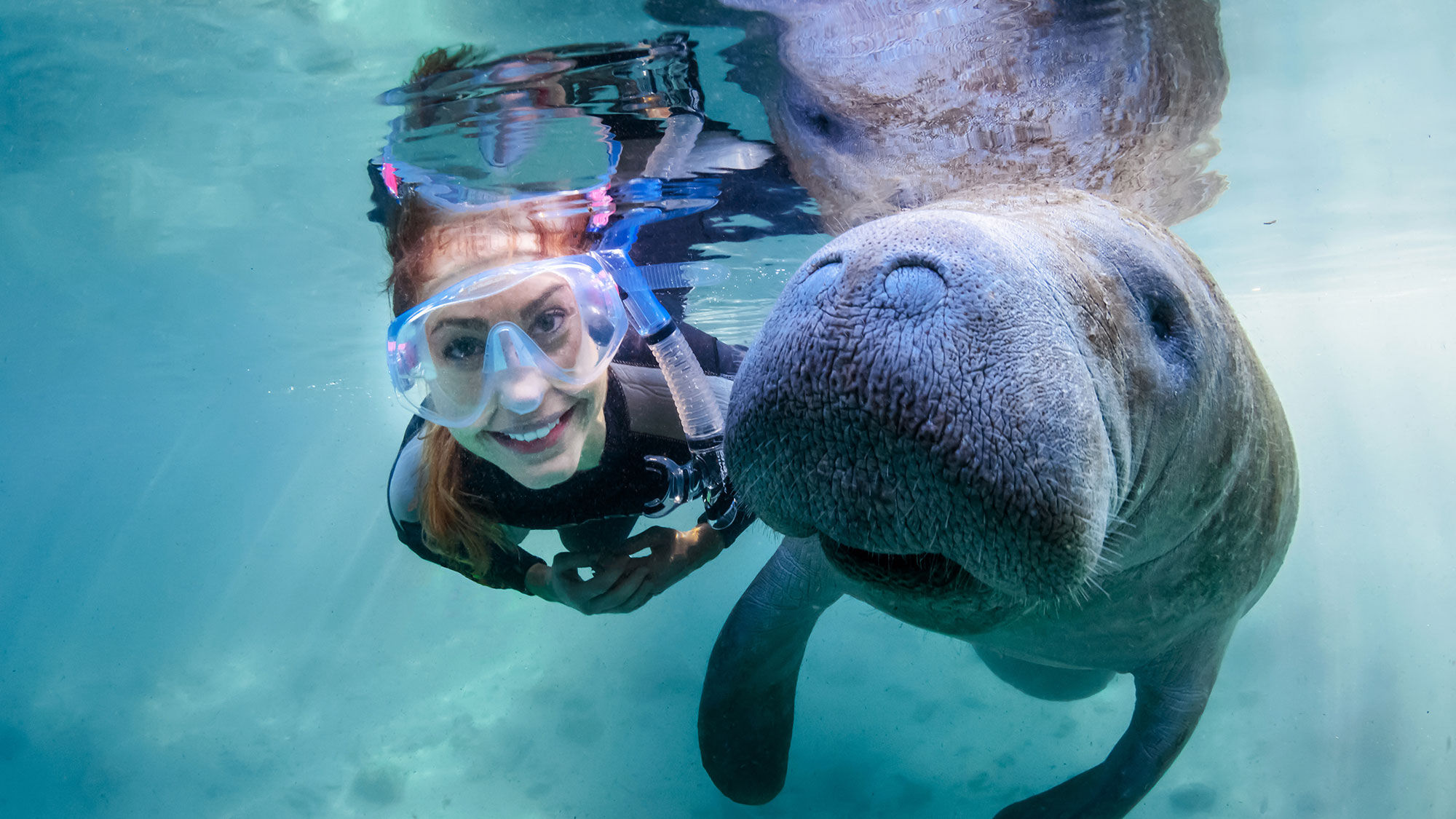 Crystal River, which features swim with a manatee tours, gets 20% of its visitors from overseas. That's due in part to marketing through Visit Florida at European tourism conventions.