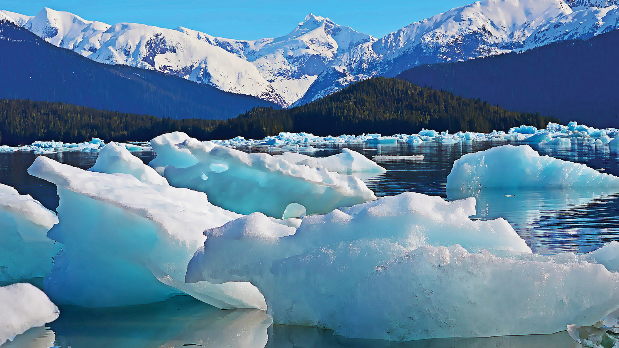 Alaska Gov. Mike Dunleavy said Monday that his state is "the safest state in the country and quite frankly might be the safest locale in the world at this stage of the game."