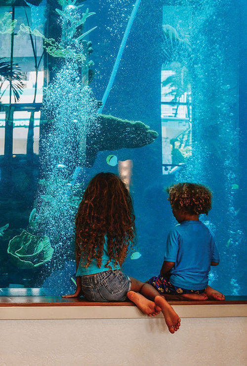 The Oceanarium at the Alohilani Resort Waikiki Beach. The Oceanarium at the Alohilani Resort Waikiki Beach.