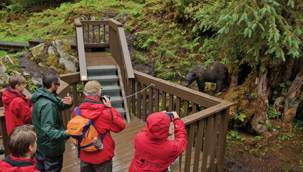 Spotting bears from the viewing deck at the Anan Wildlife Observatory. Spotting bears from the viewing deck at the Anan Wildlife Observatory.