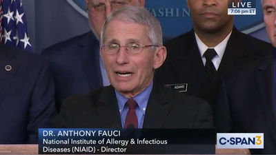 Immunologist Anthony Fauci speaking at Monday's coronavirus task force briefing at the White House.