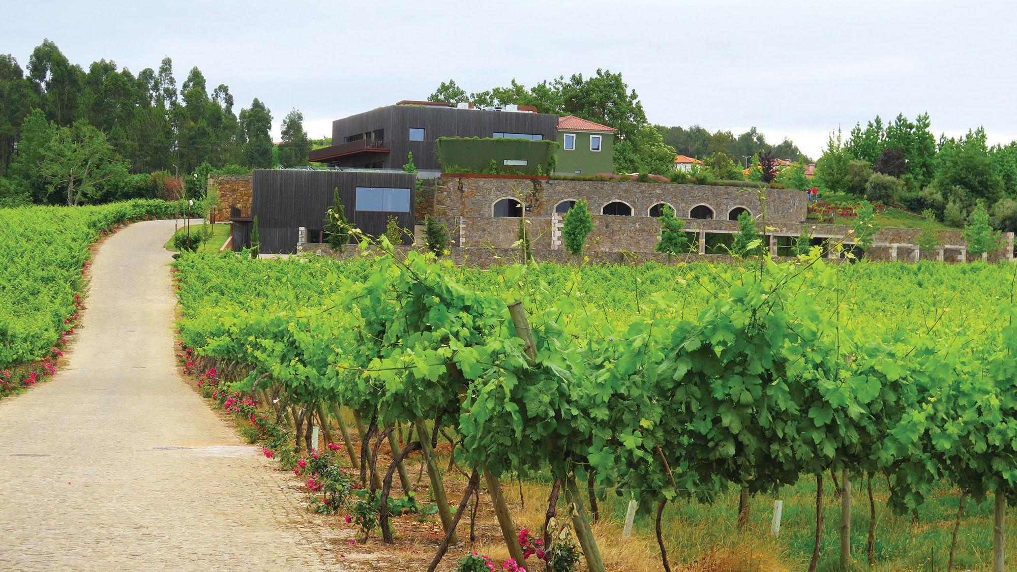 Monverde Hotel in Amarante offers several wine experiences and spa treatments.