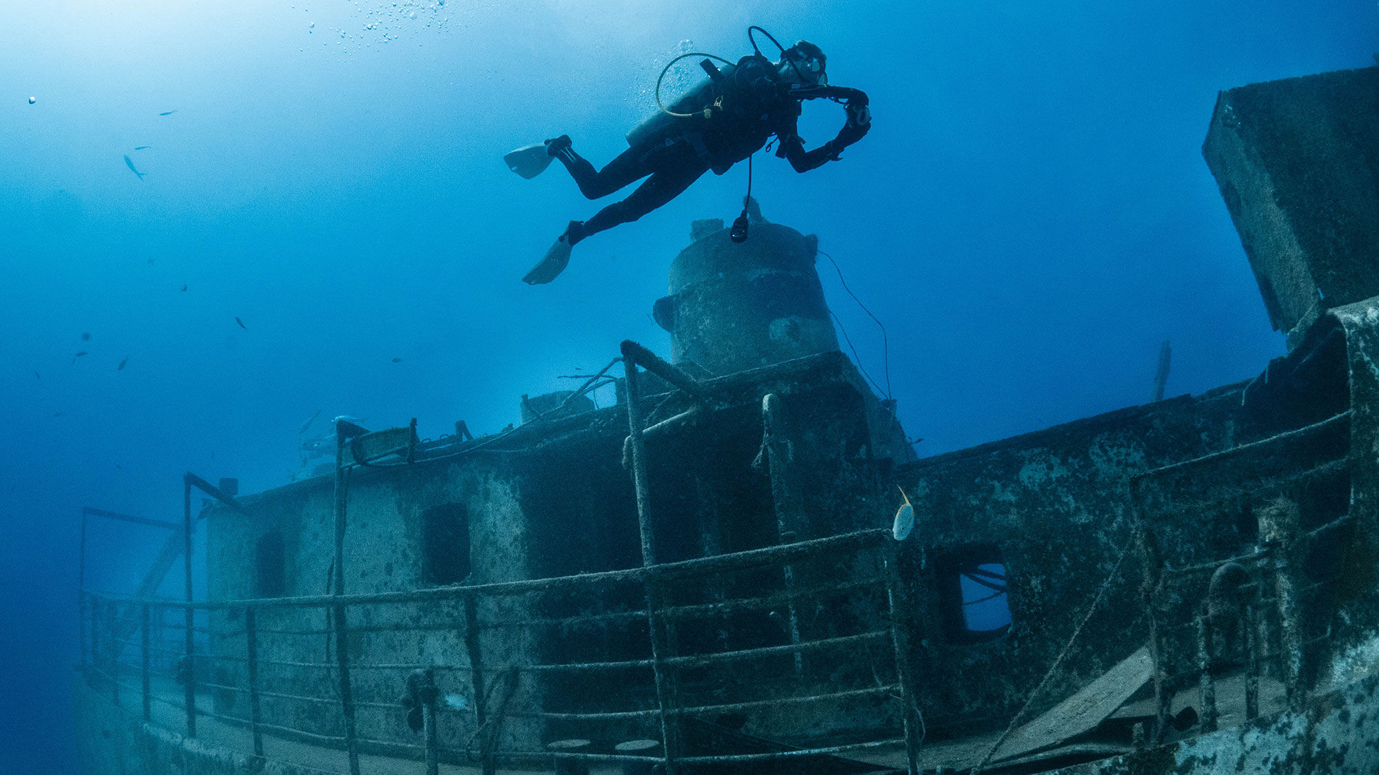 Divers have reefs and wrecks to explore on Grand Bahama Island.