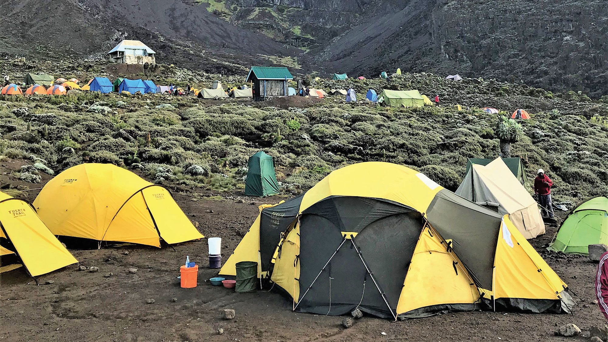 The Folo, episode 2: Travel agents vs. coronavirus | Climbing Kilimanjaro, part 2