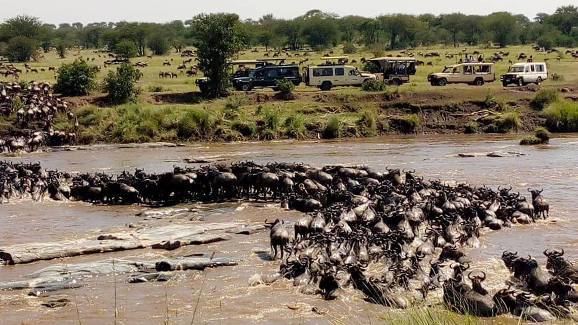 Extraorinary Journeys' Return of the Safari Pioneers enables travelers to experience Africa's great wildebeest migration from the safety of a social distancing bubble.