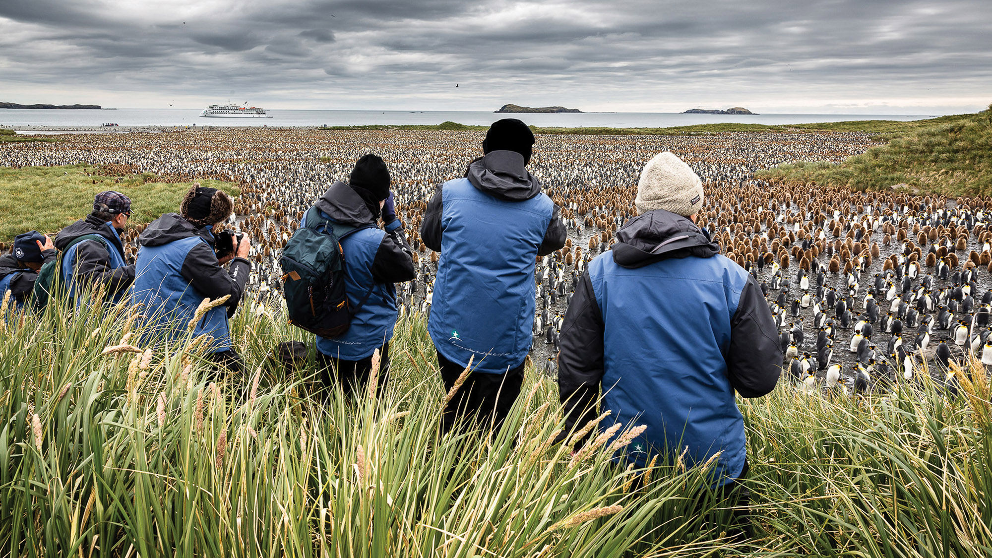 Passengers photograph king penguins on Salisbury Plain, South Georgia Island.