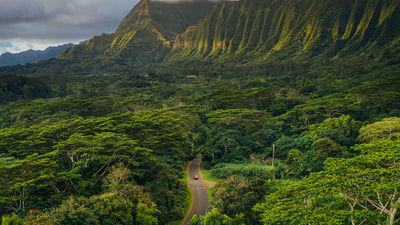 The Haiku Stairs, known as the "Stairway to Heaven," climb to the top of Puu Keahiakahoe ridge in the Koolau Mountains.